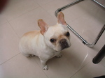 DSC01477.JPG