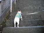 IMGP0689.JPG